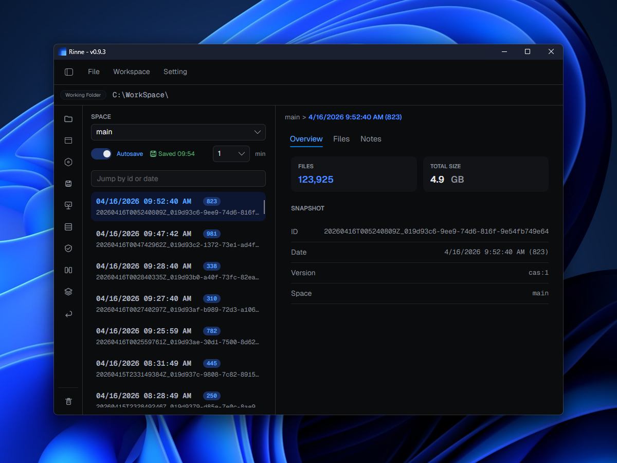 Rinne autosave settings view
