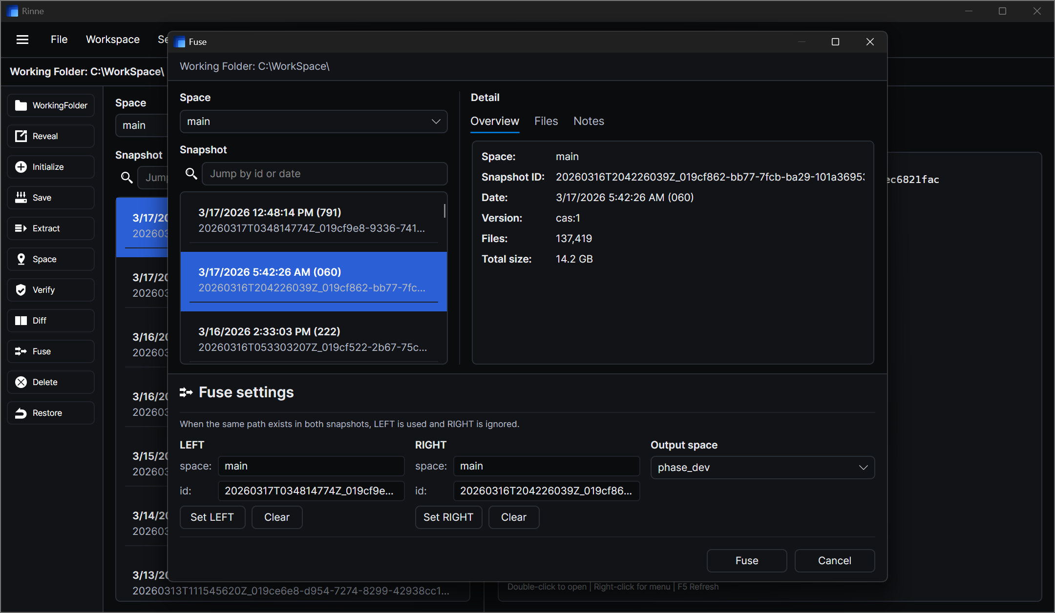 Rinne fuse snapshots view