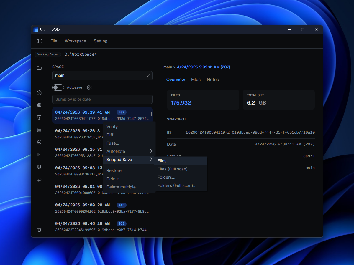 Rinne scoped save view